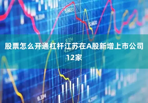 股票怎么开通杠杆江苏在A股新增上市公司12家