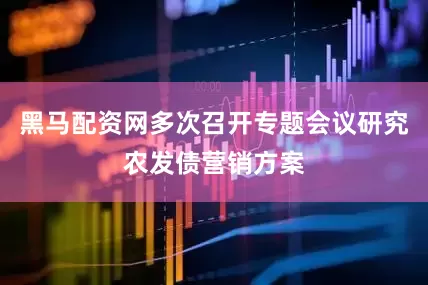 黑马配资网多次召开专题会议研究农发债营销方案