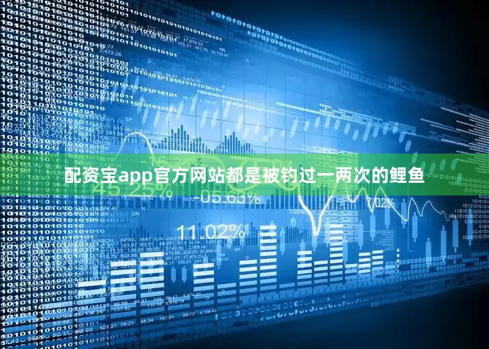 配资宝app官方网站都是被钓过一两次的鲤鱼
