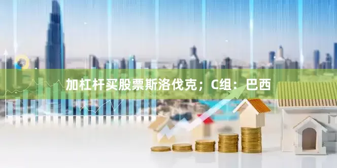 加杠杆买股票斯洛伐克；C组：巴西