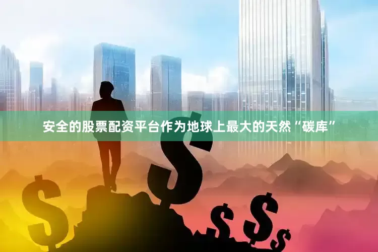 安全的股票配资平台作为地球上最大的天然“碳库”