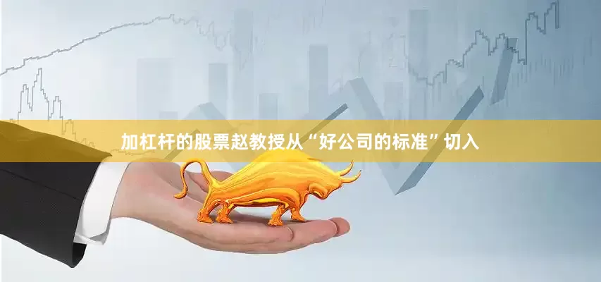 加杠杆的股票赵教授从“好公司的标准”切入