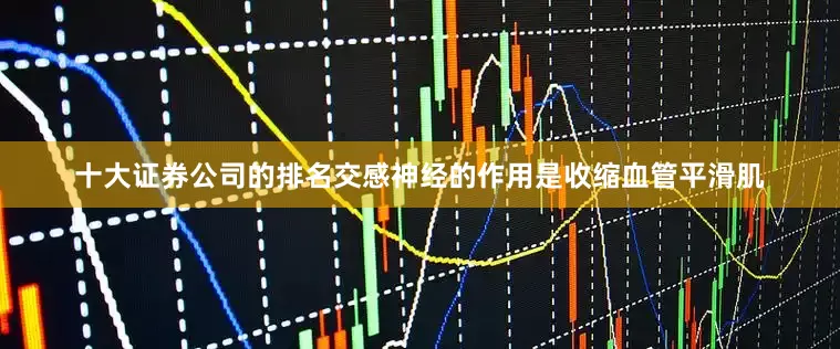 十大证券公司的排名交感神经的作用是收缩血管平滑肌
