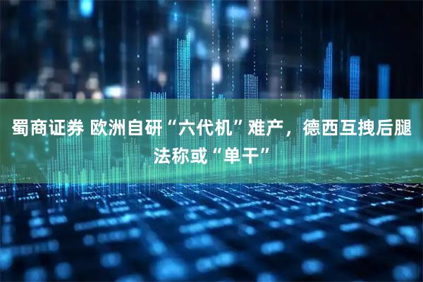 蜀商证券 欧洲自研“六代机”难产，德西互拽后腿法称或“单干”