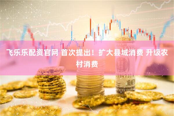 飞乐乐配资官网 首次提出！扩大县域消费 升级农村消费