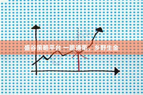 盛谷策略平台 一路通衢，乡野生金